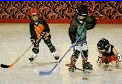 Roller Hockey at Skateland Arena Roller Skating Rinks in Mount Morris MI
